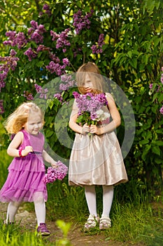 Funny kids girls near bush of lilac with bouquet