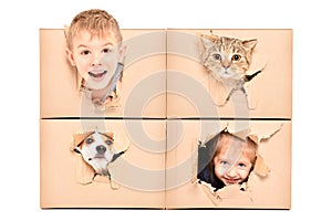 Funny kids and pets looks out of a torn hole in a box