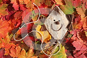 Funny kite and autumn leaves