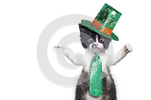 Funny Kitten Celebrating the American Holiday Saint Patricks Day