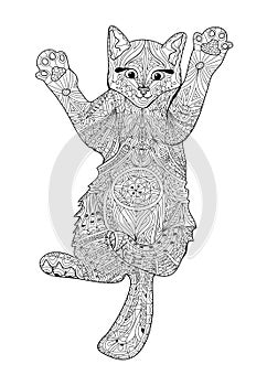 Funny kitten - coloring book for adults - zentangle cat book