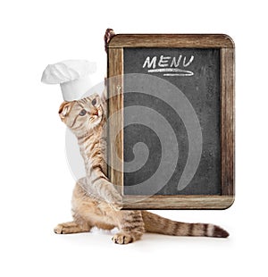 Funny kitten in cook hat holding menu blackboard