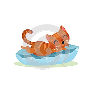 Funny kitten lying on a pillow, mischievous cute little cat vector Illustration on a white background