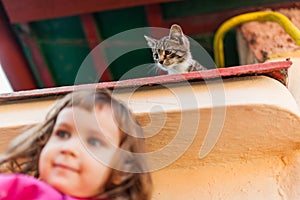 Funny kitten watching from above