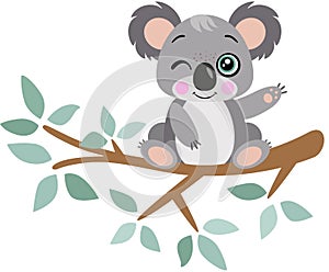 Funny koala on branch of tree with green leaves