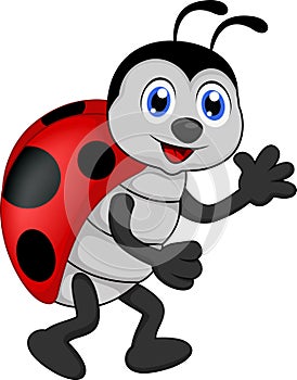 Funny lady bug cartoon