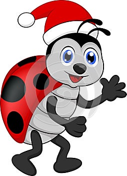 Funny lady bug cartoon xmas