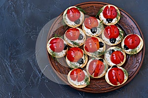 Funny Ladybird Snack Appetizer with Tomato on Crackers with cheese on a dark background