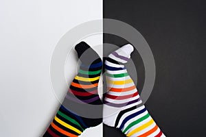 Funny legs with white and black striped new clean colorful textile socks. Fashion accessories for feet with negative background
