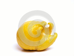 Funny lemon