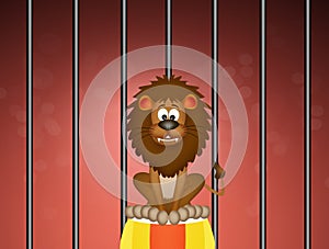 Funny lion in the cage at circus