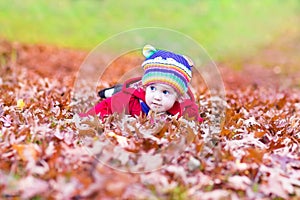 Funny little baby girl with colorful red autumn leaves