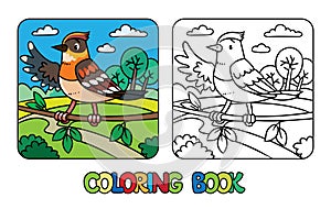 Funny little bird. Farm animals coloring book