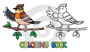 Funny little bird. Farm animals coloring book