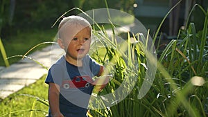 Funny little boy 1. 5 years studying hosing plants in the garden