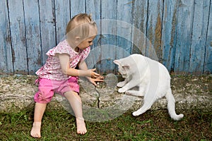 Funny little child playing with white cat outdoors