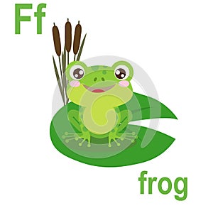 Funny little frog on the leaves of swamp plants, alphabet card, children`s room design, vector illustration