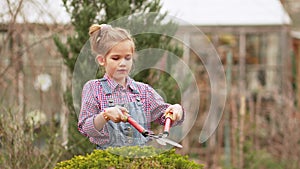a funny little girl cuts bushes in the garden with large pruner.