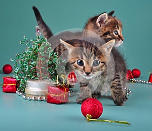 Funny little kittens with handmade Christmas tree and balls