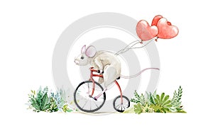 Funny little mouse riding a bike with red balloons watercolor illustration. Hand drawn cartoon mousy, isolated on white background