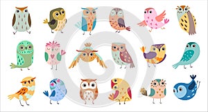 Funny Little Owl with Large Eyes and Beak as Woodland Bird with Wings Big Vector Set