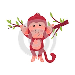 Funny Little Red Monkey Hanging On Liana Vector Illustration Cartoon Character