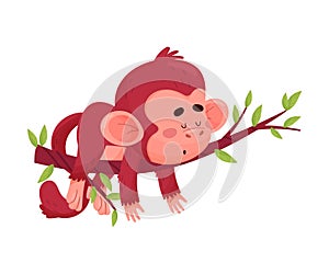 Funny Little Red Monkey Laying On The Branch Of Tree Vector Illustration Cartoon Character
