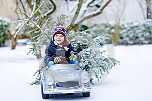 Funny little smiling kid boy driving toy car with Christmas tree.