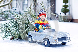 Funny little smiling kid boy driving toy car with Christmas tree.