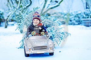 Funny little smiling kid boy driving toy car with Christmas tree.