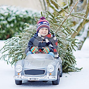 Funny little smiling kid boy driving toy car with Christmas tree.