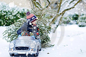 Funny little smiling kid boy driving toy car with Christmas tree.