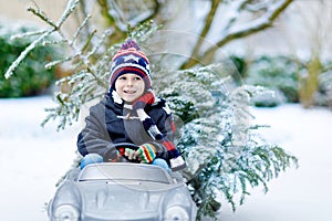 Funny little smiling kid boy driving toy car with Christmas tree.