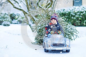 Funny little smiling kid boy driving toy car with Christmas tree.