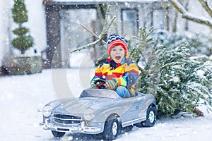 Funny little smiling kid boy driving toy car with Christmas tree.