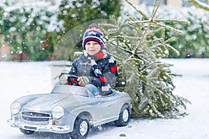 Funny little smiling kid boy driving toy car with Christmas tree.