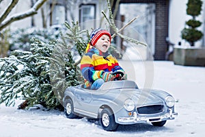 Funny little smiling kid boy driving toy car with Christmas tree.