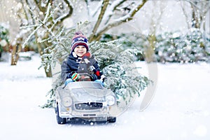 Funny little smiling kid boy driving toy car with Christmas tree.