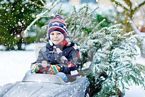 Funny little smiling kid boy driving toy car with Christmas tree.