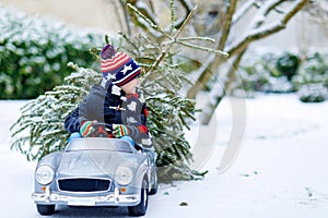 Funny little smiling kid boy driving toy car with Christmas tree. Happy child in winter fashion clothes bringing hewed