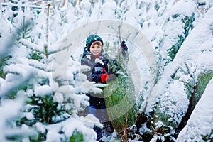 Funny little smiling kid boy holding christmas tree. Happy child in winter fashion clothes choosing and buying xmas tree