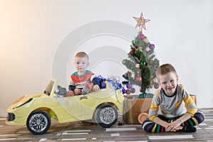 Funny little smiling kids driving toy car with Christmas tree. Happy child in colour fashion clothes bringing hewed xmas tree from