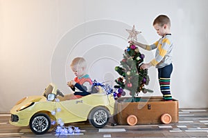 Funny little smiling kids driving toy car with Christmas tree. Happy child in colour fashion clothes bringing hewed xmas tree from