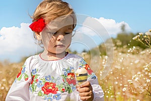 Funny little Ukrainian Caucasian girl in a shirt with embroidery playing in nature where wild flowers
