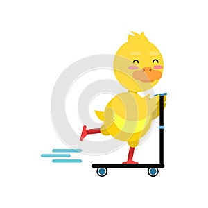 Funny little yellow duckling riding kick scooters cartoon character vector illustration