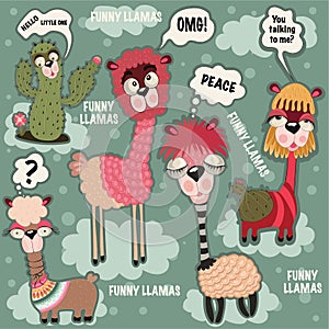 Funny llamas