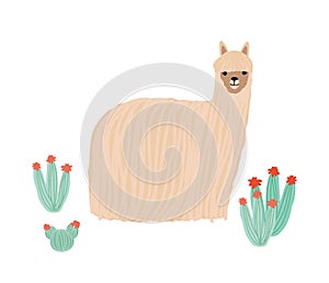 Funny long-haired alpaca isolated on white background. Adorable domestic South American animal standing among cactuses