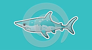 Funny mako shark photo