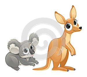 Funny marsupials, koala and kangaroo