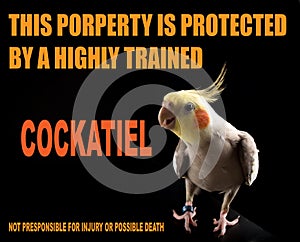 Funny memes, protecting Property, bird memes